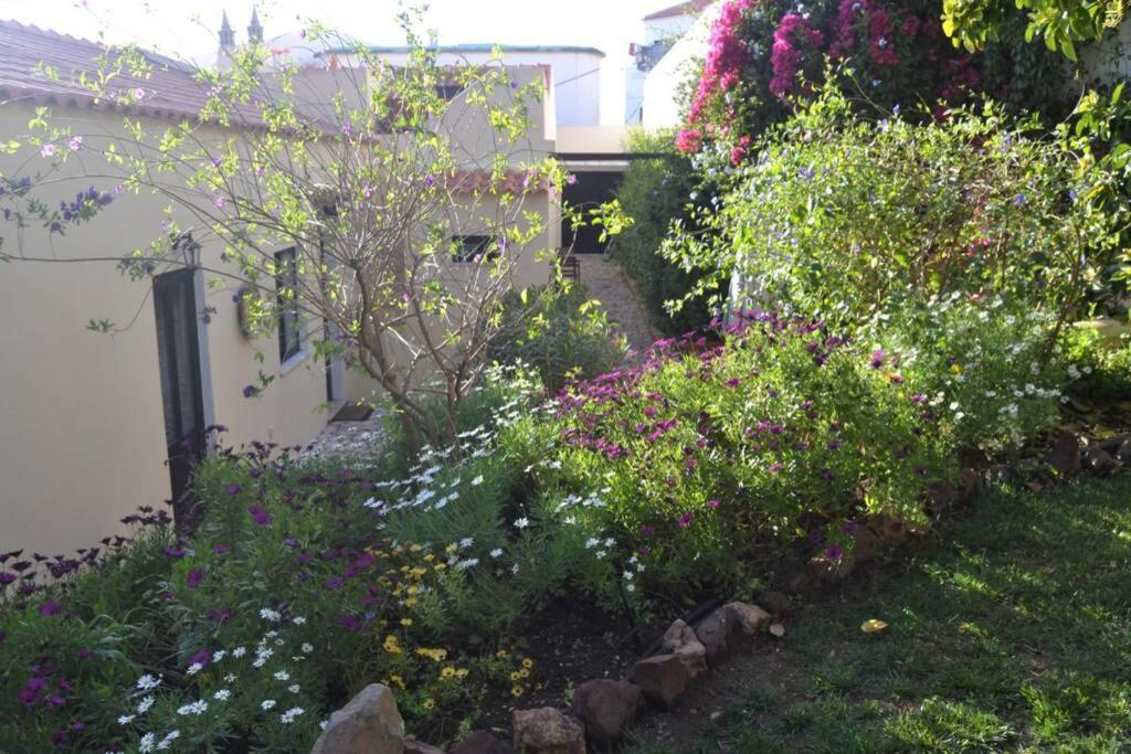 Garden In The City Сілвеш Екстер'єр фото