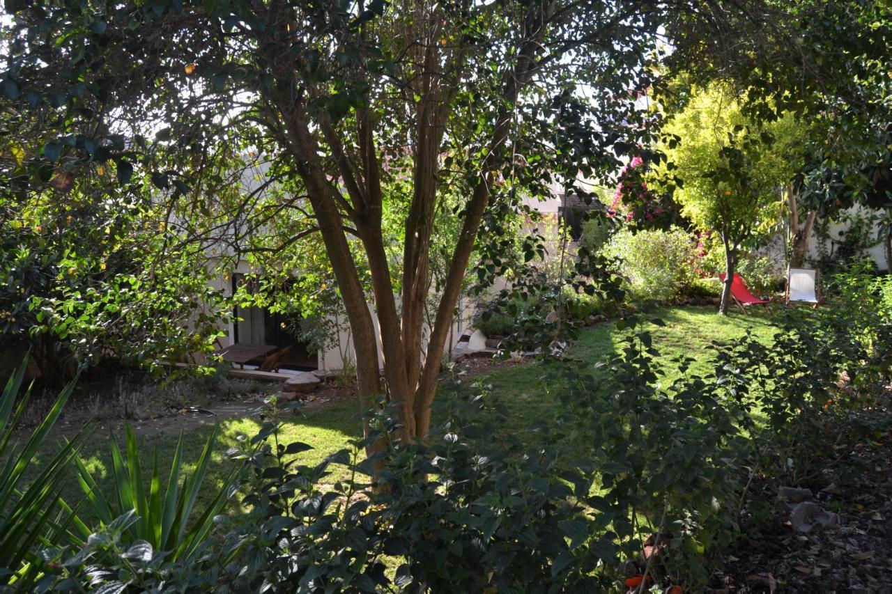Garden In The City Сілвеш Екстер'єр фото